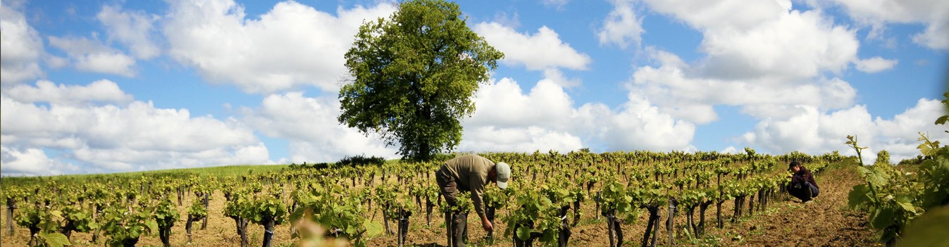 Le tonneau des saveurs