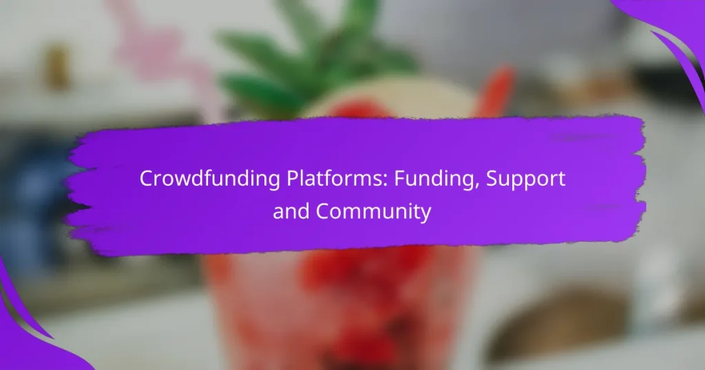Crowdfunding Platforms: Funding, Support and Community
