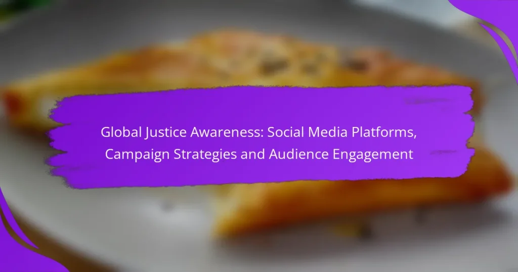 Global Justice Awareness: Social Media Platforms, Campaign Strategies and Audience Engagement