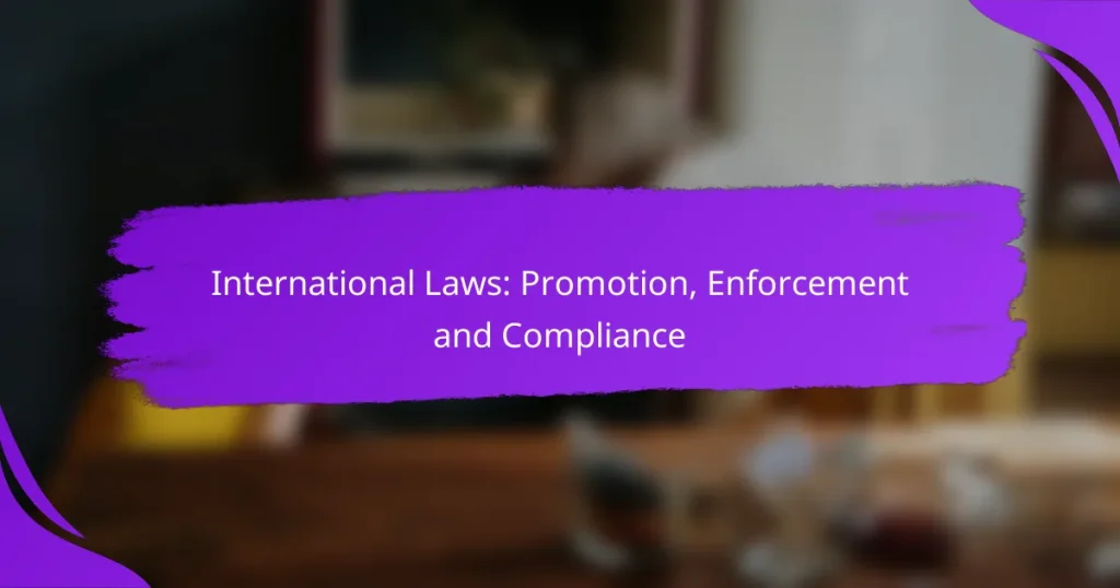 International Laws: Promotion, Enforcement and Compliance