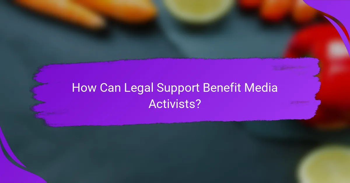 How Can Legal Support Benefit Media Activists?