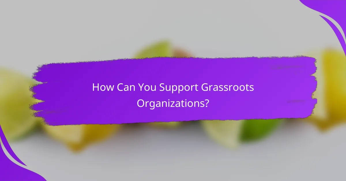 How Can You Support Grassroots Organizations?