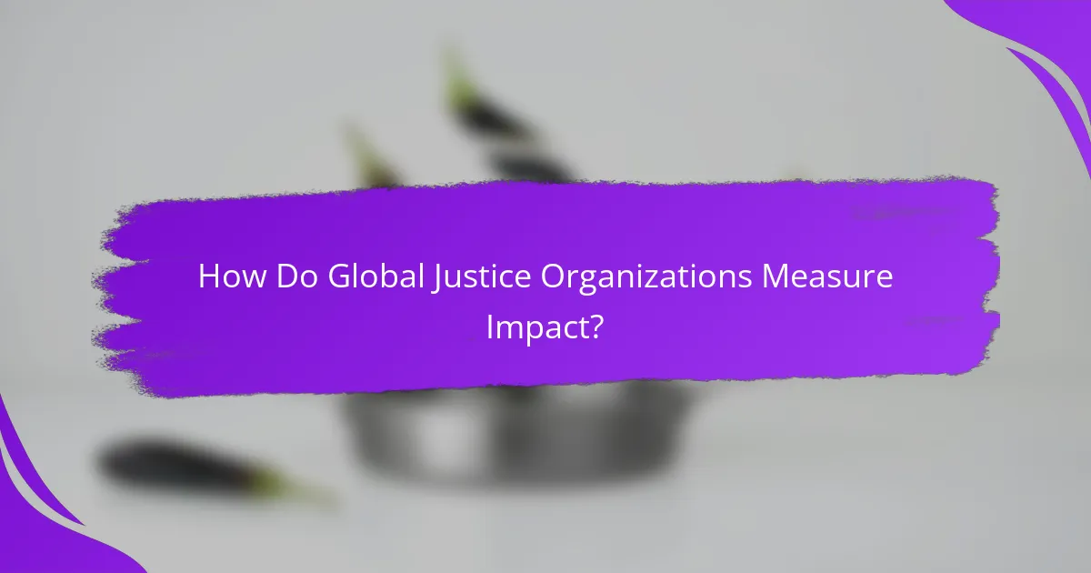 How Do Global Justice Organizations Measure Impact?