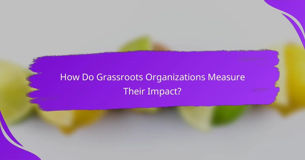 How Do Grassroots Organizations Measure Their Impact?