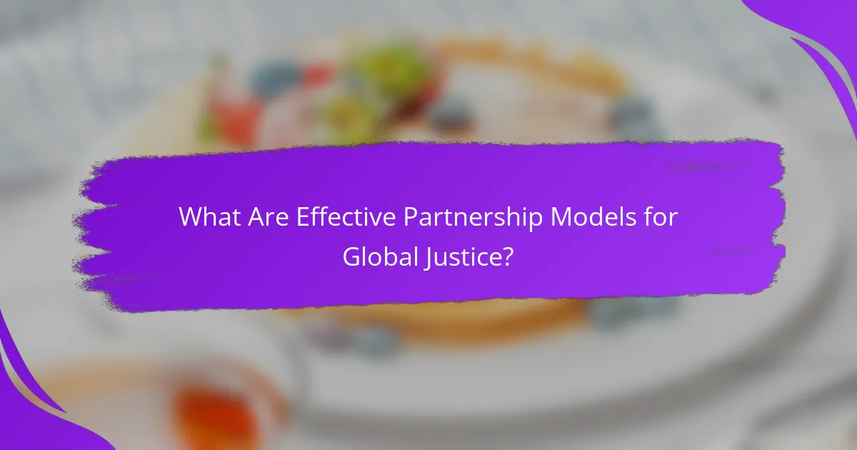What Are Effective Partnership Models for Global Justice?