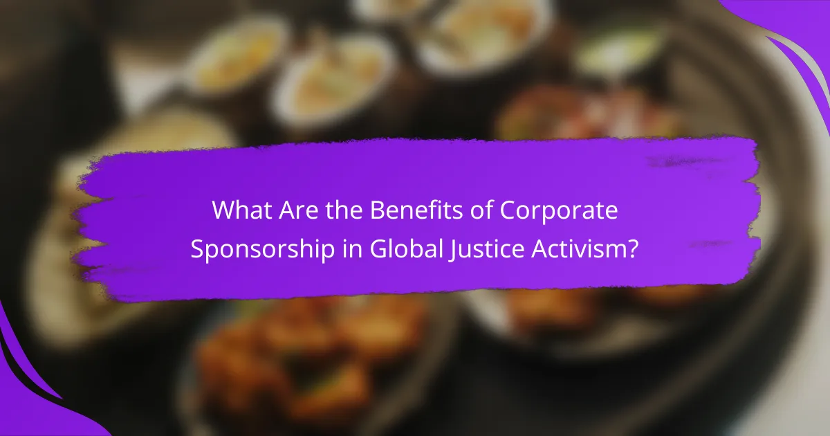 What Are the Benefits of Corporate Sponsorship in Global Justice Activism?