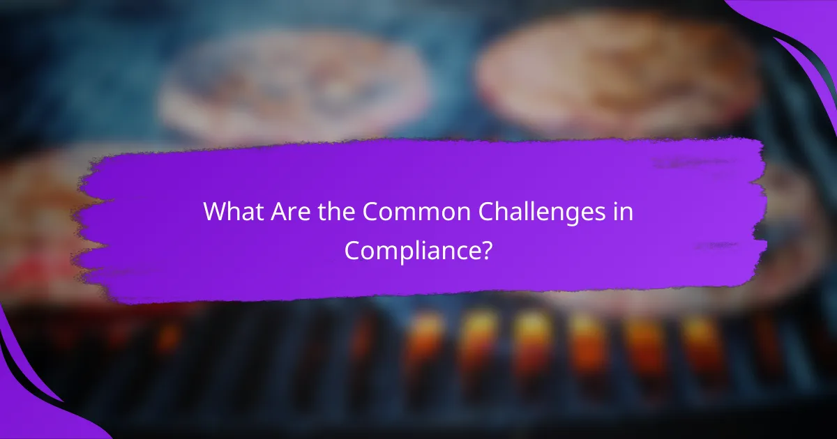 What Are the Common Challenges in Compliance?