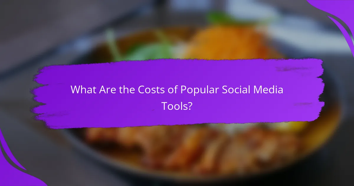 What Are the Costs of Popular Social Media Tools?
