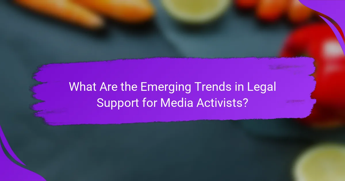 What Are the Emerging Trends in Legal Support for Media Activists?