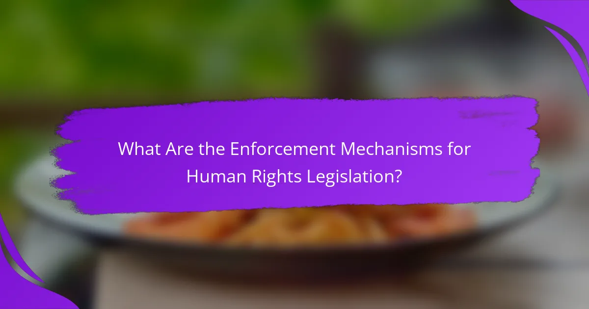 What Are the Enforcement Mechanisms for Human Rights Legislation?