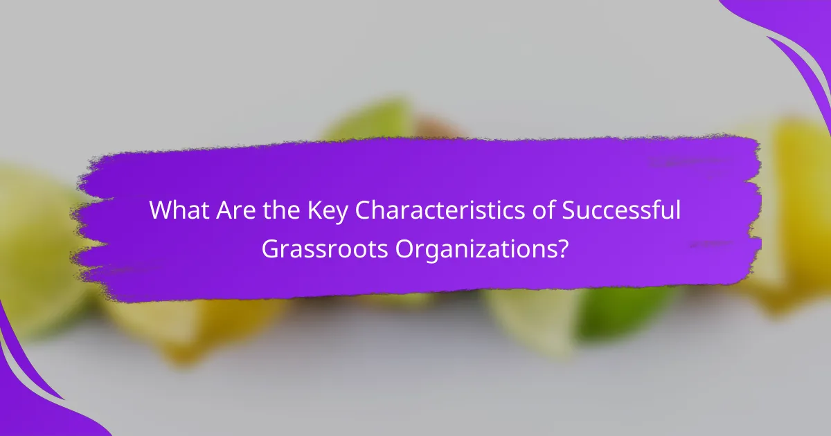 What Are the Key Characteristics of Successful Grassroots Organizations?
