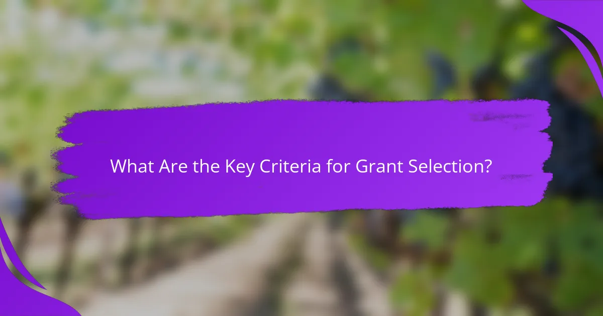 What Are the Key Criteria for Grant Selection?