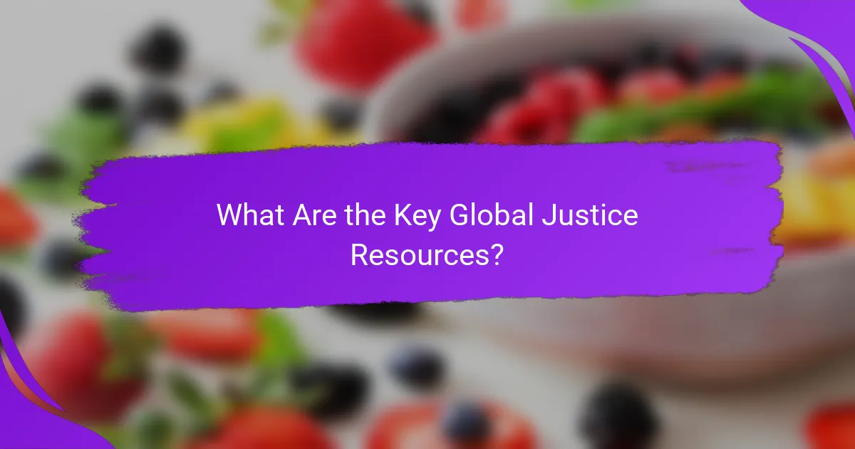 What Are the Key Global Justice Resources?