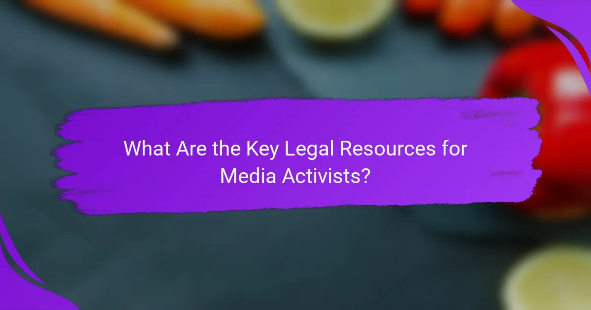 What Are the Key Legal Resources for Media Activists?