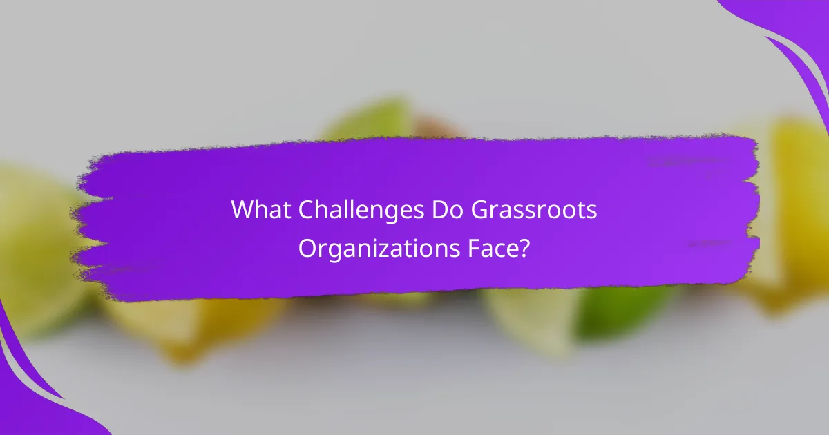 What Challenges Do Grassroots Organizations Face?