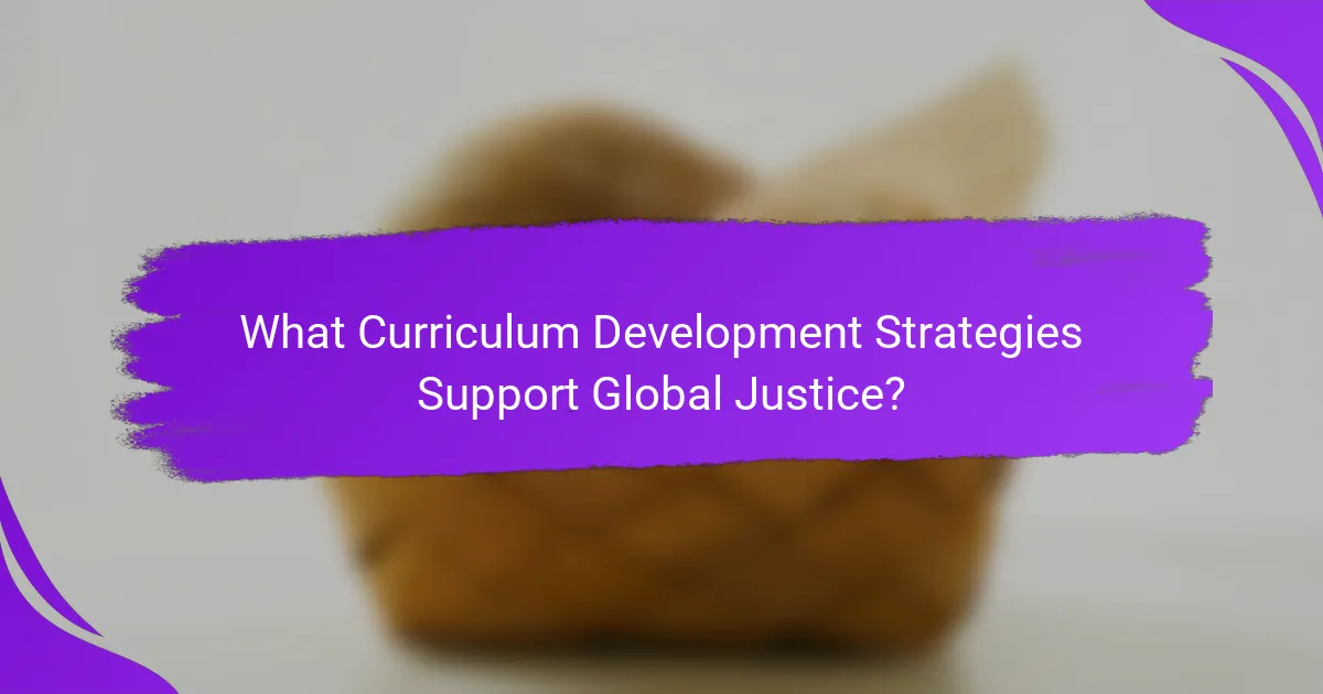 What Curriculum Development Strategies Support Global Justice?