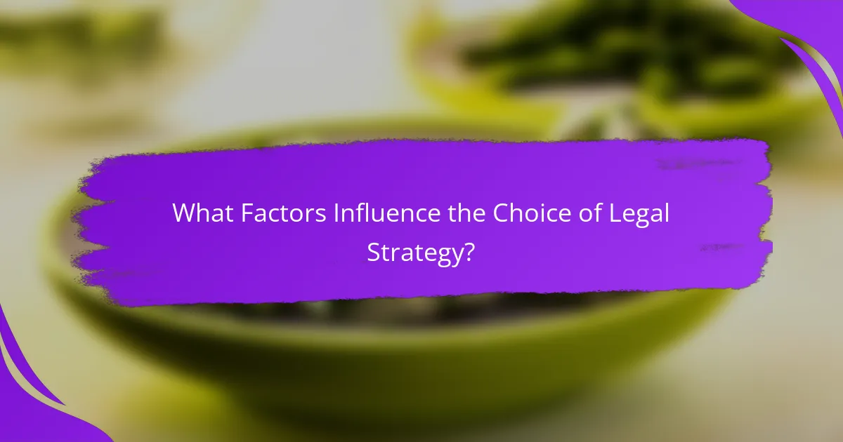 What Factors Influence the Choice of Legal Strategy?