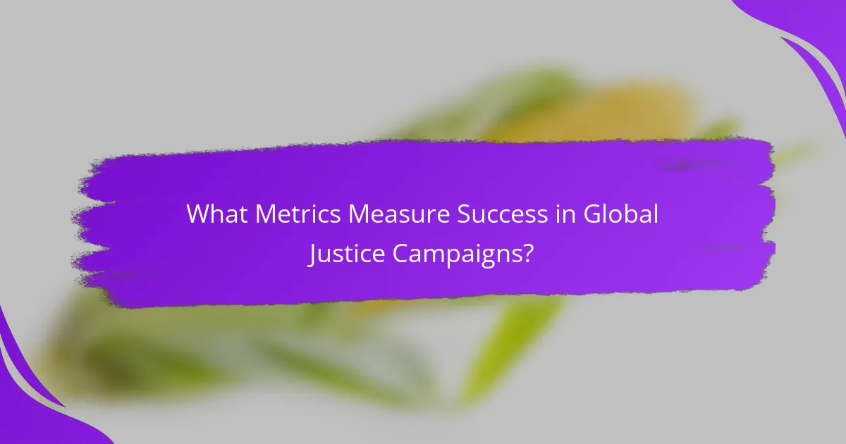 What Metrics Measure Success in Global Justice Campaigns?