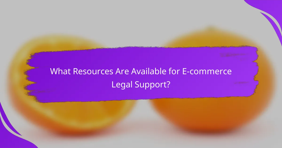 What Resources Are Available for E-commerce Legal Support?