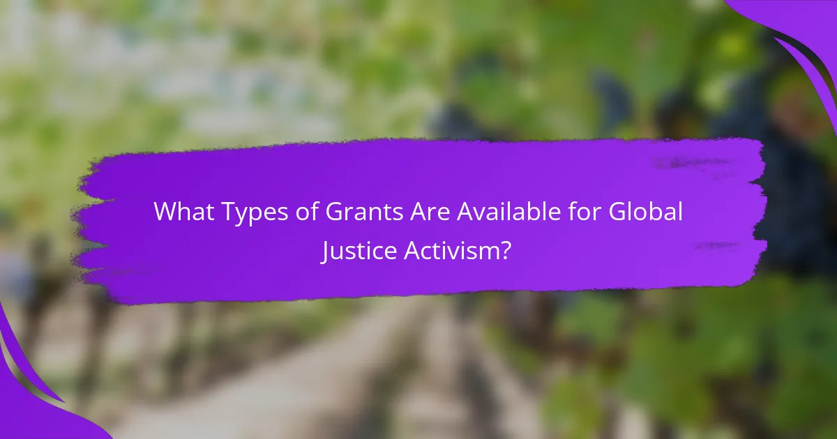 What Types of Grants Are Available for Global Justice Activism?